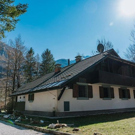 Tuba Apartments Bohinj Exteriör bild
