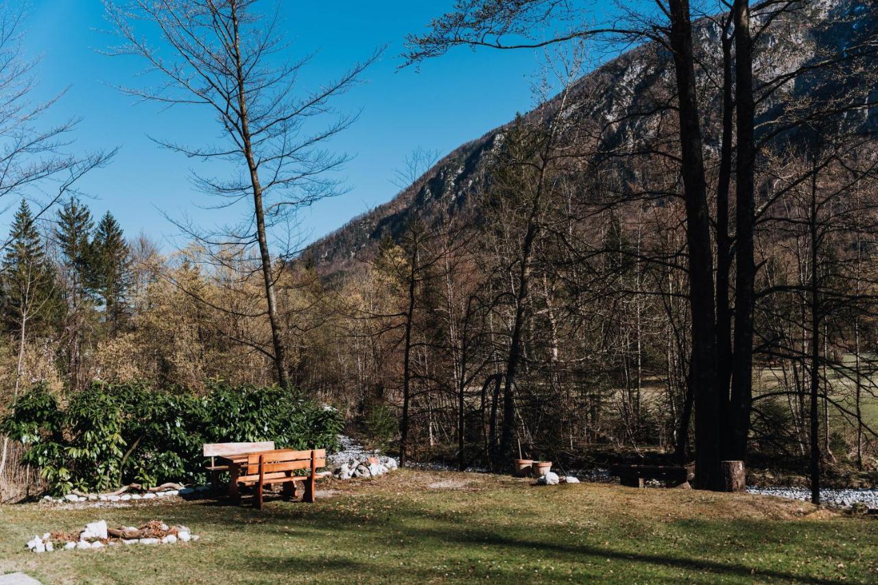 Tuba Apartments Bohinj Exteriör bild
