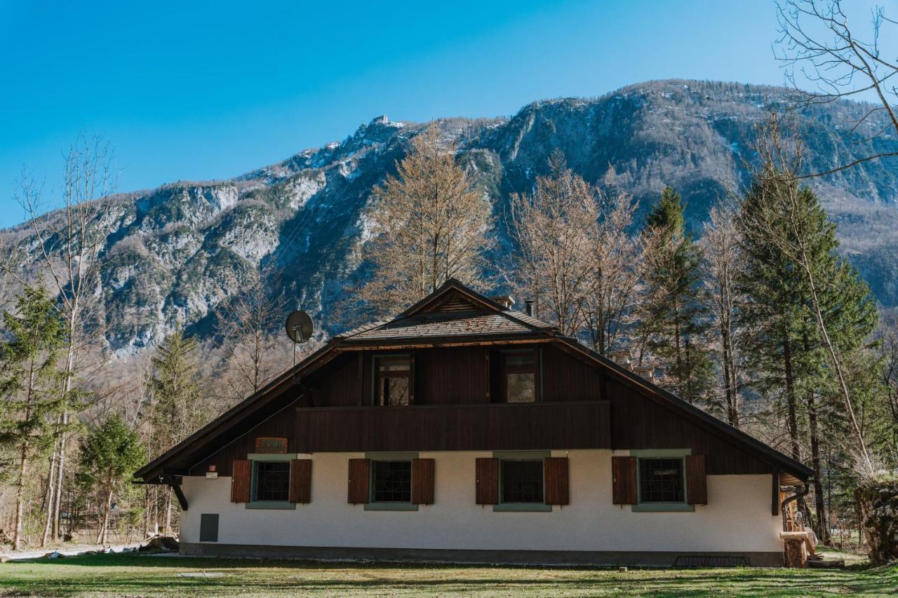 Tuba Apartments Bohinj Exteriör bild